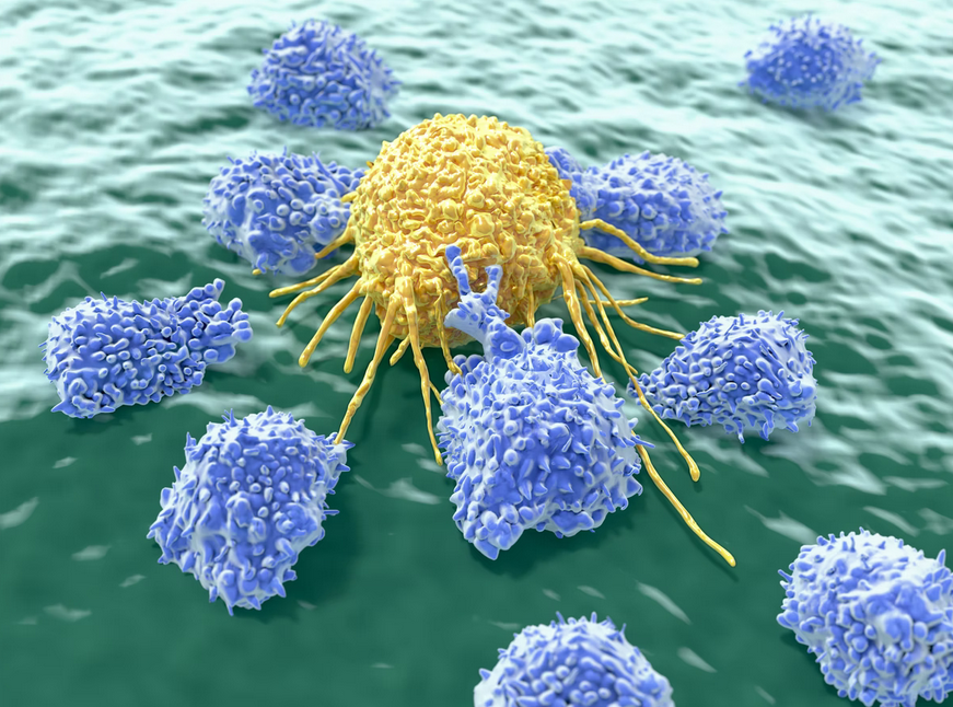 مهندسی ایمنی برای بهبود ایمونوتراپی